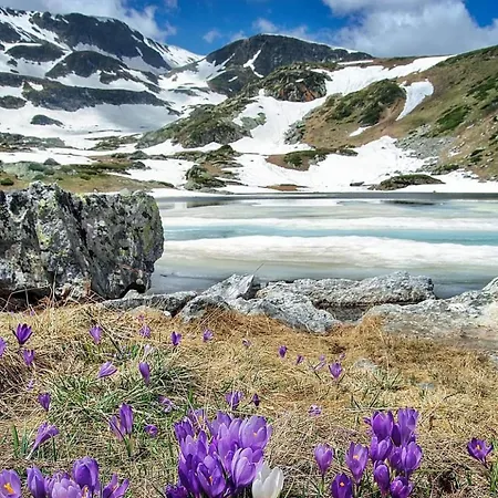 Mountain Paradise In Gardens